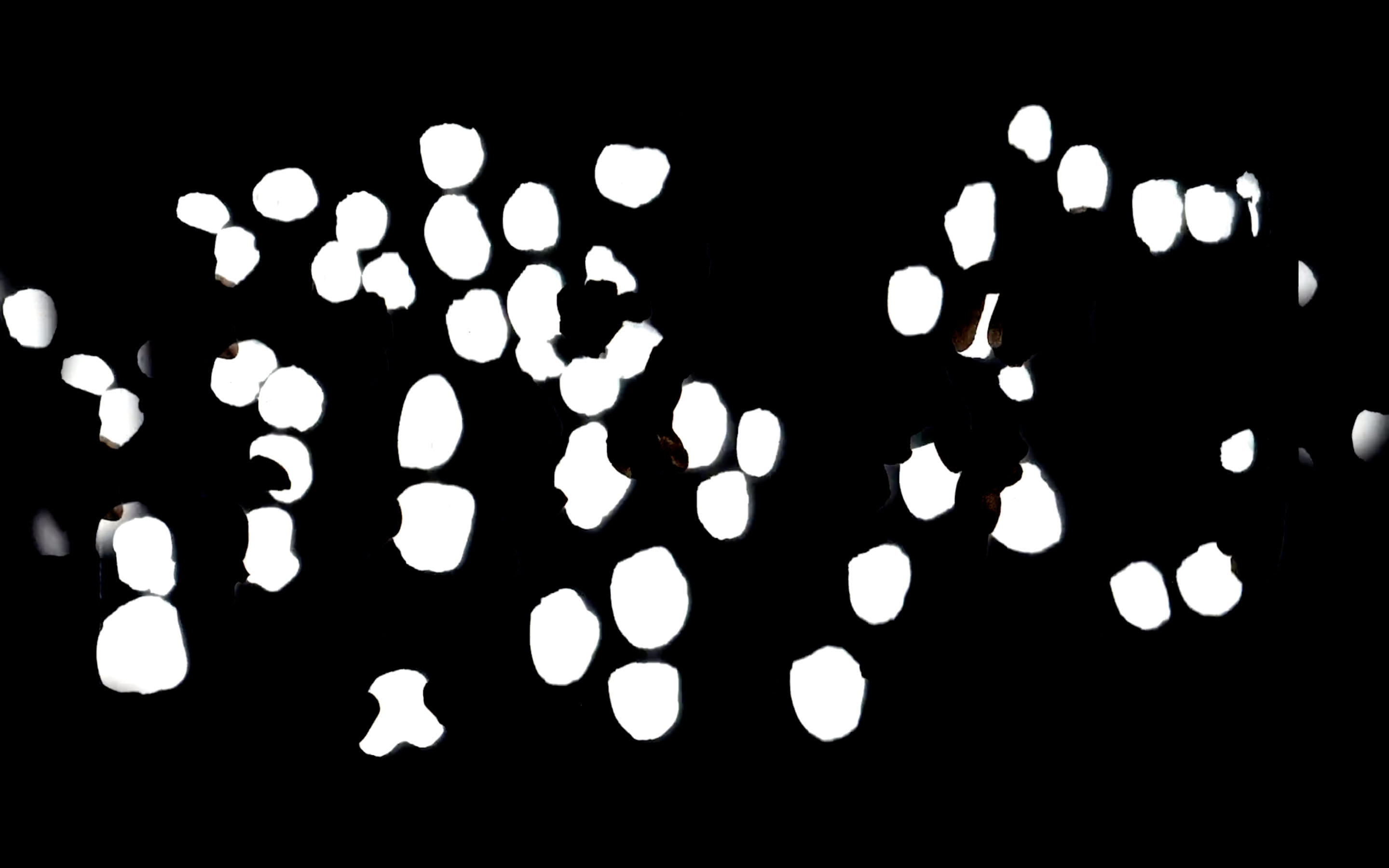 Film still from artist Emilia Izquierdo's experimental Film Ghost Dance, 2019. Dance as protest.