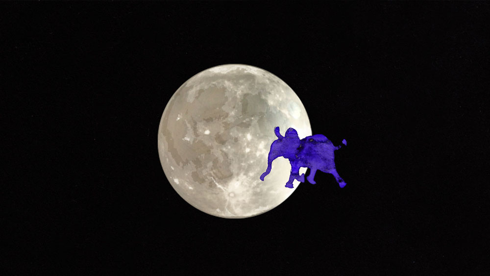 Film still from artist Emilia Izquierdo's experimental Film,BlindLight/WhiteNoise 2016. NASA sounds. Hand drawn animation. Moon with elephant.