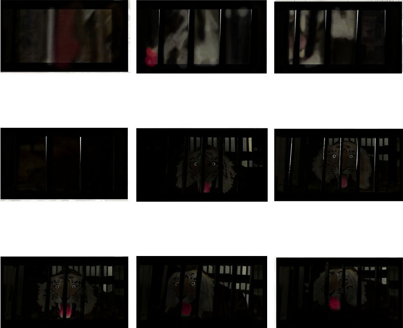 Film stills from artist Emilia Izquierdo's experimental film Cage, 2015.