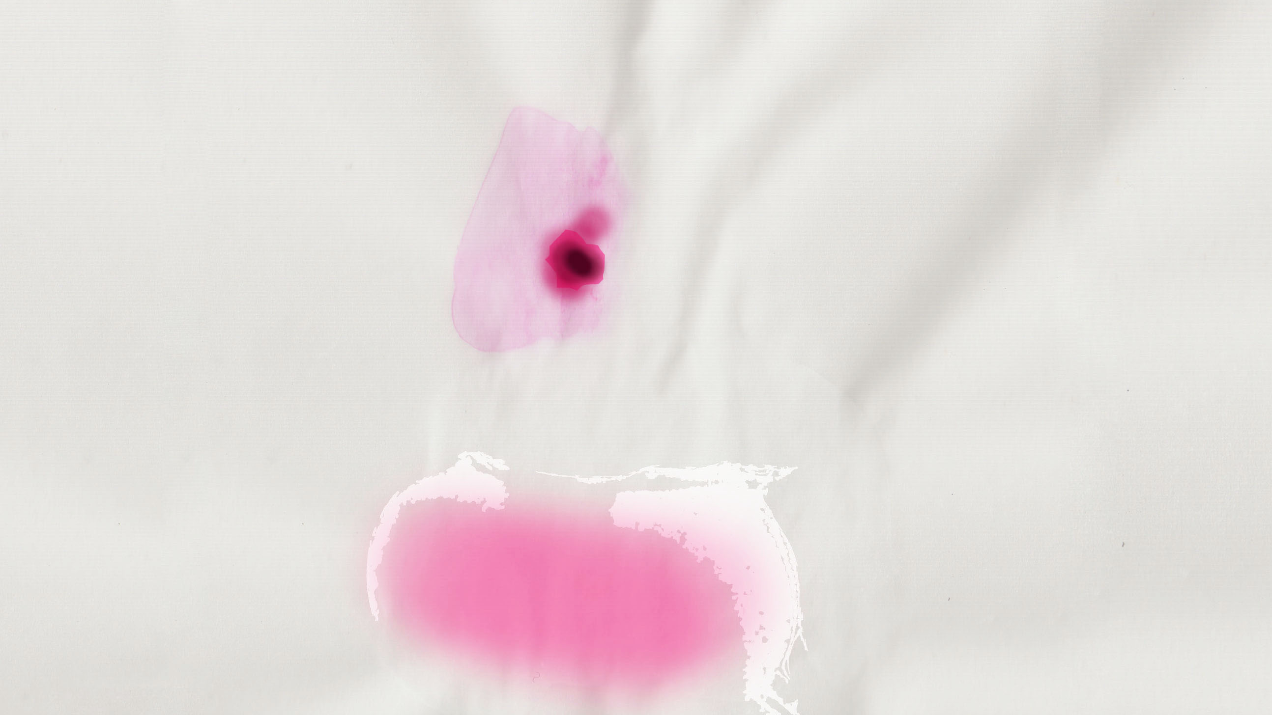 Film stills from artist Emilia Izquierdo's experimental film Roadrunner, 2015. Hand drawn animation.