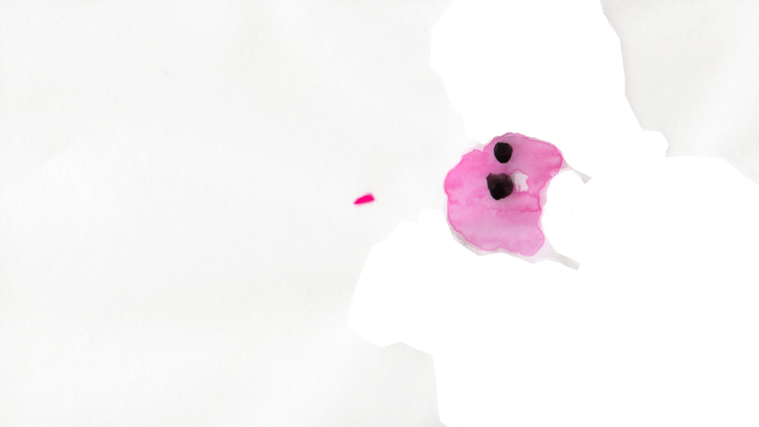 Film stills from artist Emilia Izquierdo's experimental film Shotgun, 2014. Hand drawn animation.